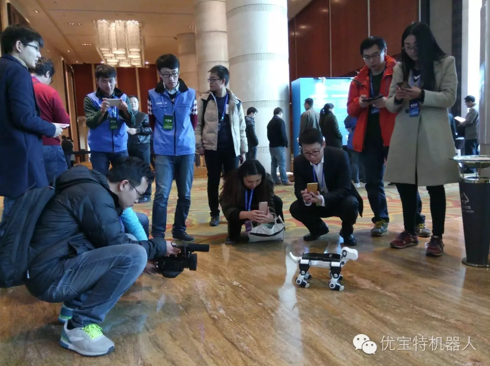 “單身狗”紅透光棍節(jié)，小Billy榮獲中國智能創(chuàng)新設(shè)計大賽亞軍