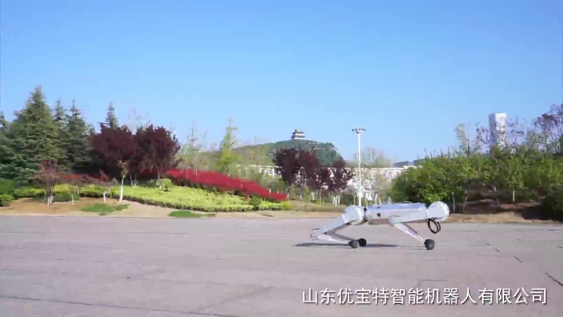 四足機(jī)器人宣傳視頻