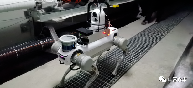 四足機(jī)器人：未來科技的探索與挑戰(zhàn)