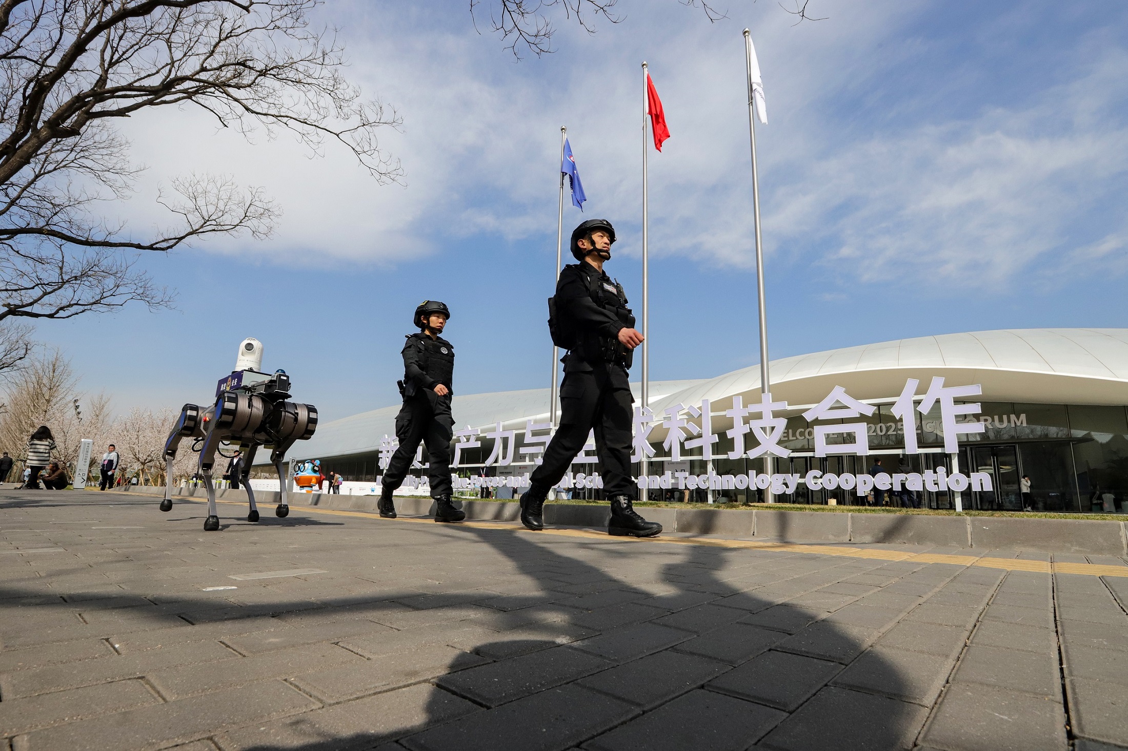為科技盛會注入“安全感”！“全域守護矩陣”護航中關村論壇